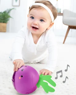 Skip Hop Farmstand Beetbox Crawl Ball