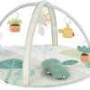 Skip Hop Garden Oasis Activity Gym
