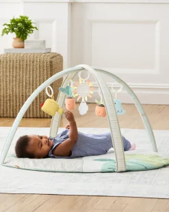 Skip Hop Garden Oasis Activity Gym