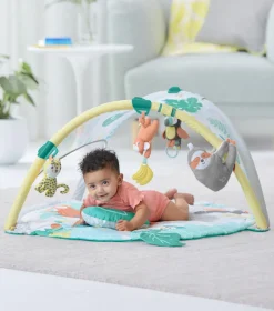 Skip Hop Tropical Paradise Activity Gym & Baby Soother