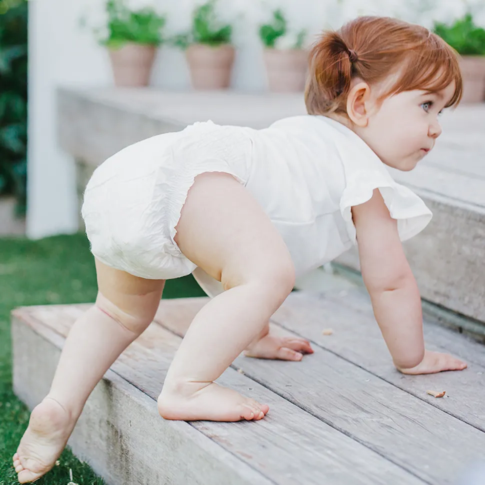 TERRA Plant-Based Diapers - Size 3/Crawler (20 Pack)