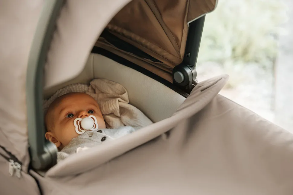 Thule Urban Glide 3 Bassinet - Tinted Taupe (Brixy Exclusive)