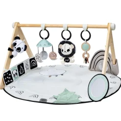 Tiny Love Luxe Developmental Gymini - Black & White Decor Collection