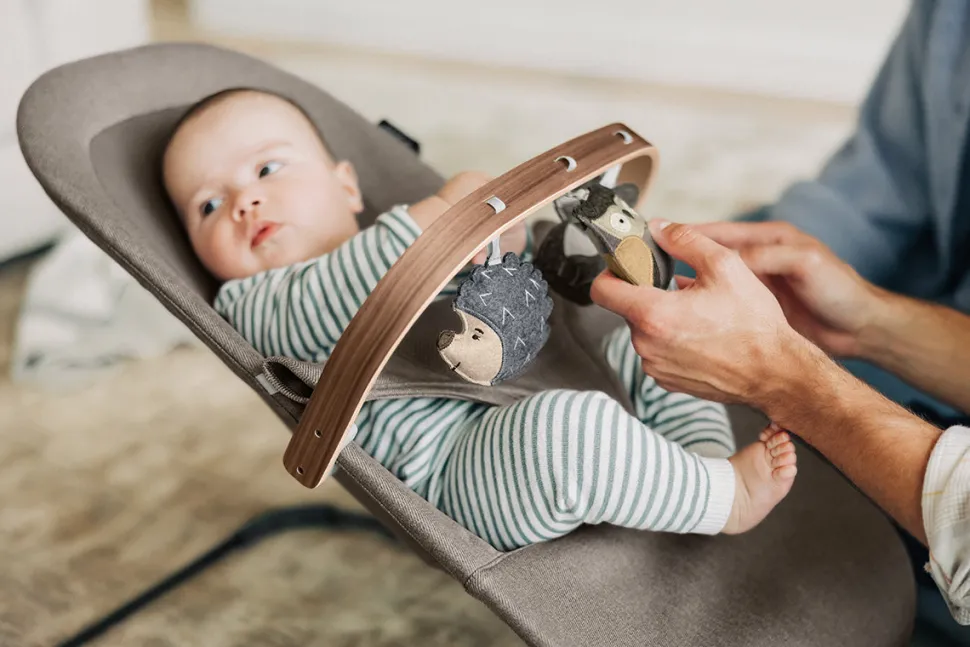 UPPAbaby Mira 2-in-1 Bouncer + Toy Bar Bundle - Wells / Forest Fun