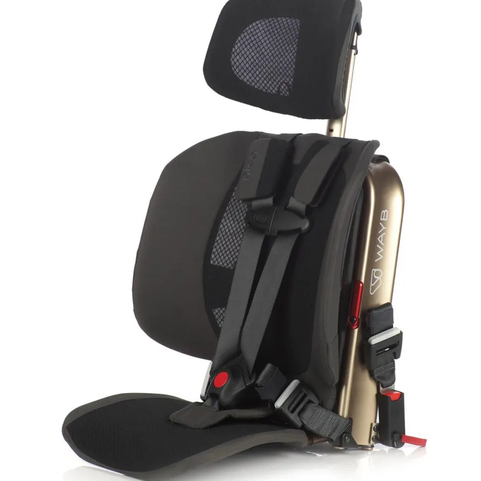 WAYB OPEN BOX Pico Forward Facing Travel Car Seat - Earth
