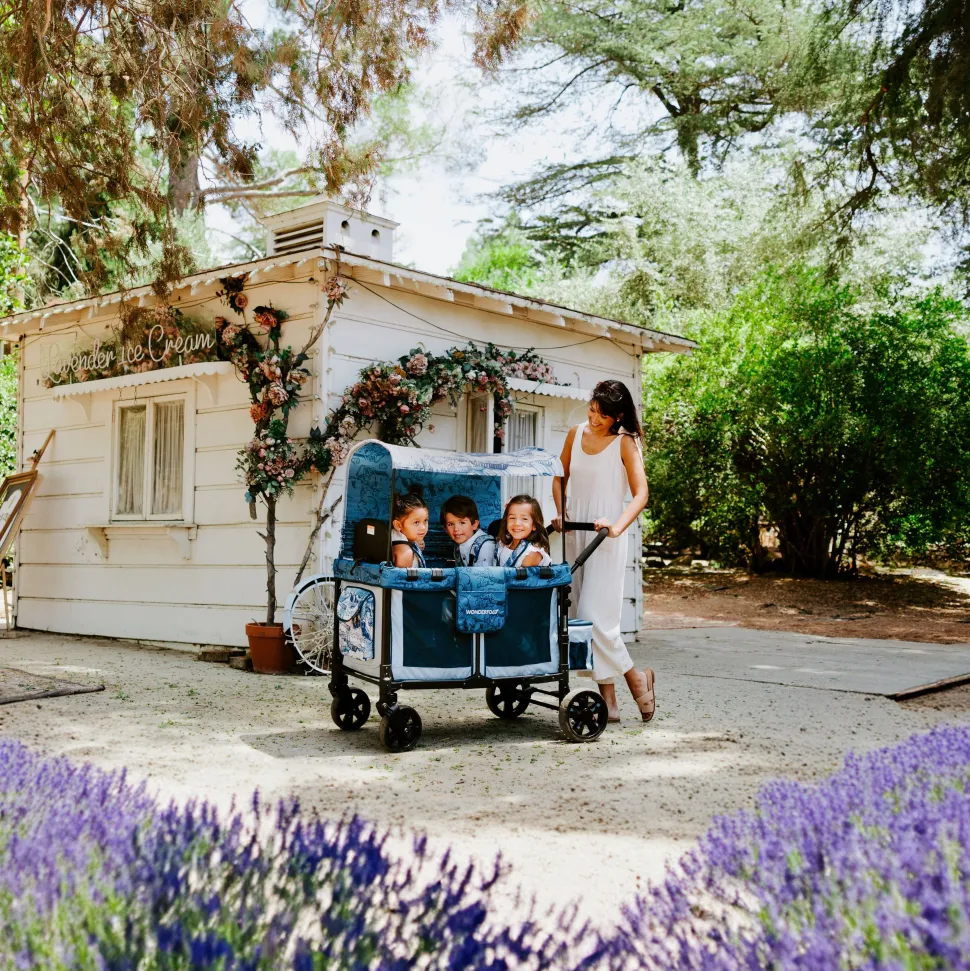 WonderFold W2 Elite/luxe Panoramic Canopy - Van Gogh Landscape With Houses